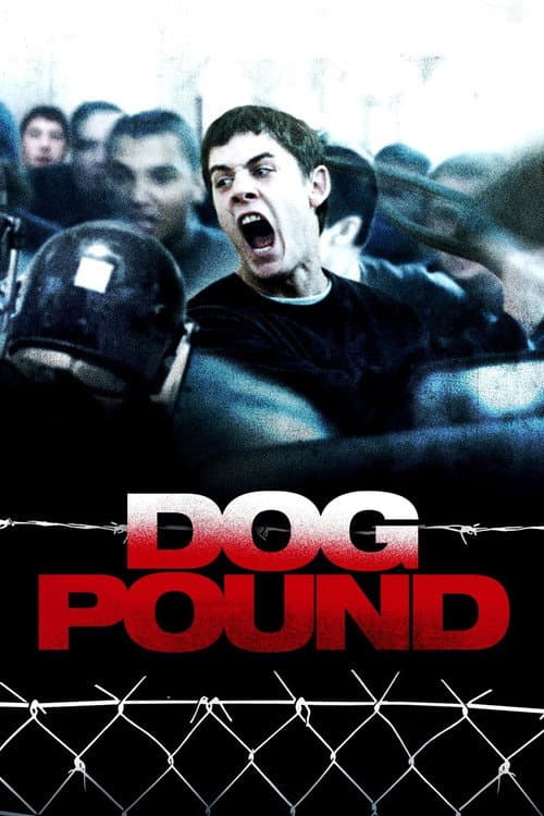 Dog Pound poster